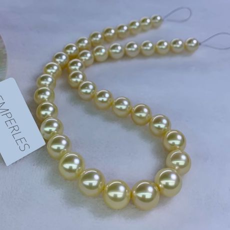 Collier perles d'Australie dorées - 9/11mm - AAA or blanc