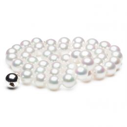 Collier perles Akoya  - Perle de culture blanche Japon - 8/8