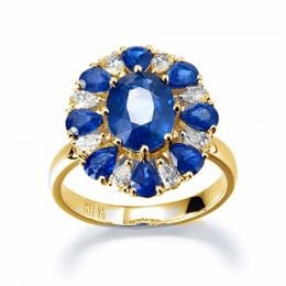 Marguerite du cap 2