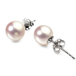 Boucles d'oreilles perles Akoya - 7/7.5mm - GEMME - Or blanc