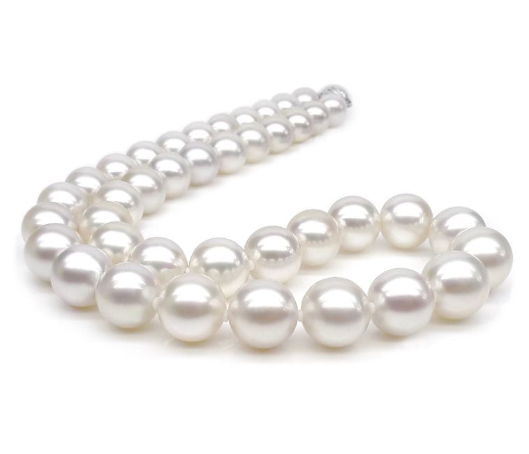 Collier Nautile