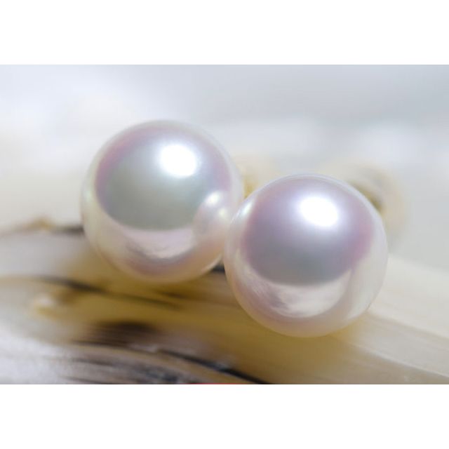 Boucles oreille or jaune - Clous oreilles perles Akoya Japon, 7.5/8mm