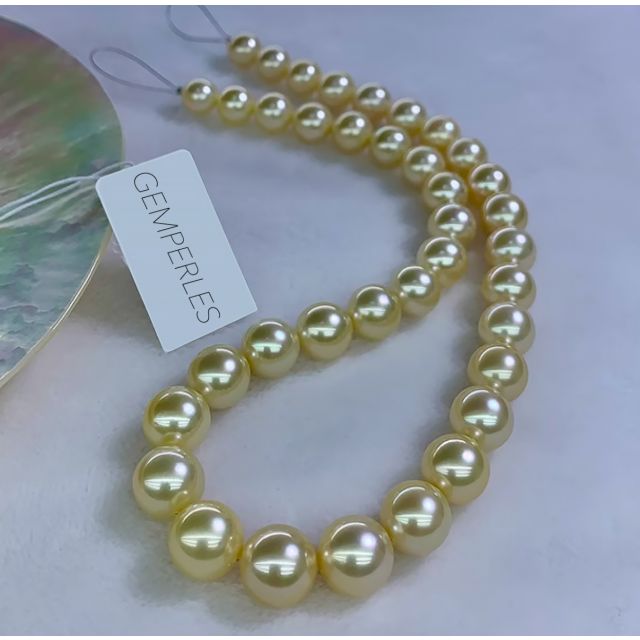 Collier perles d'Australie dorées - 9/11mm - AAA