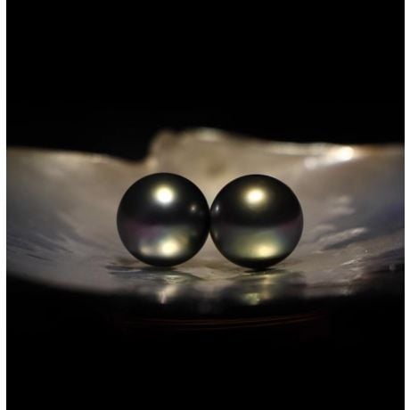 Boucles oreilles clous, or jaune - Perles de Tahiti noires, orient vert - 9/10mm - GEMME