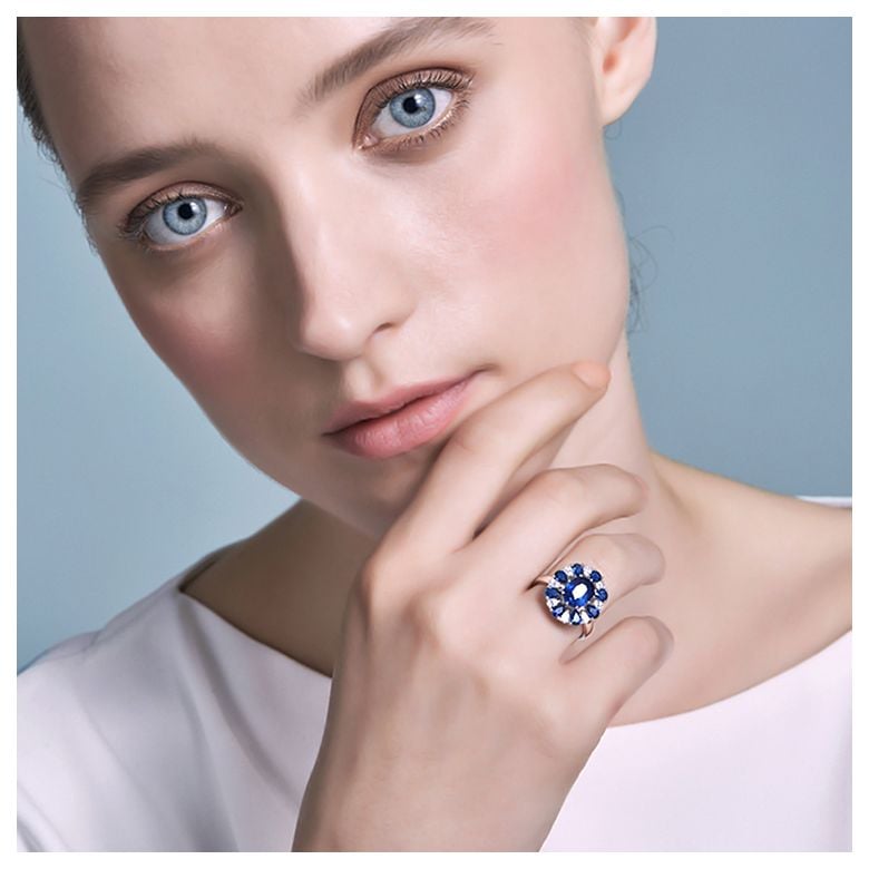 Marguerite du cap - 2