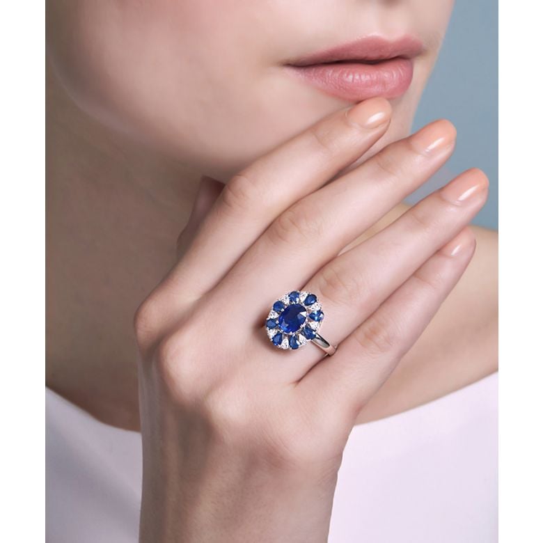 Marguerite du cap - 4