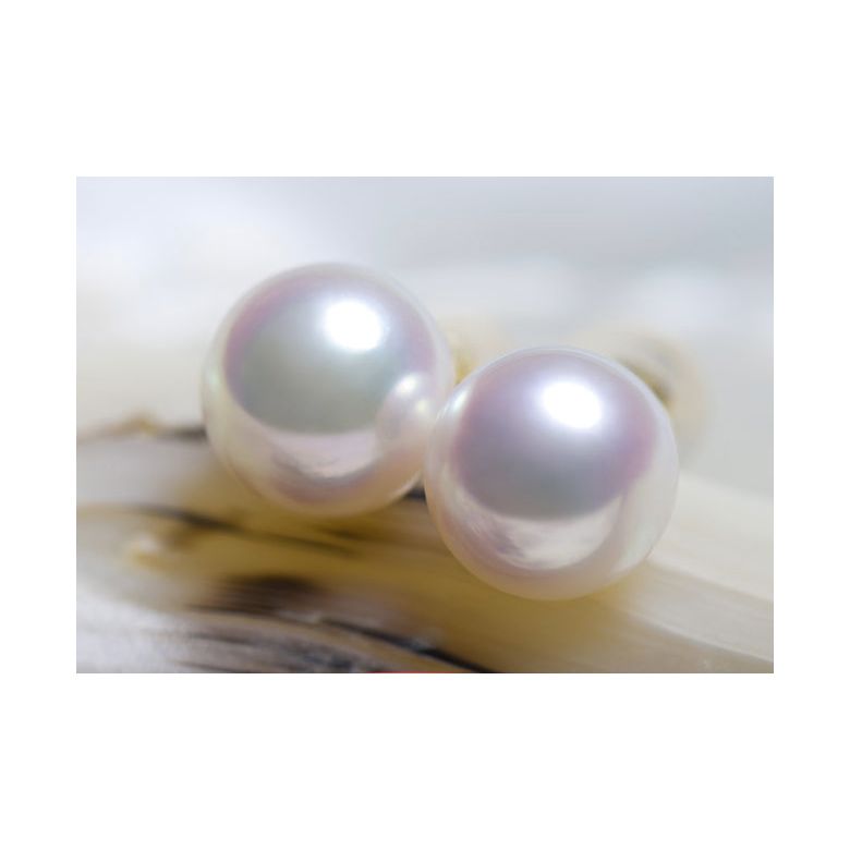 Boucles d'oreilles perles Akoya blanches - 7.5/8mm - AAA - Or blanc - 2