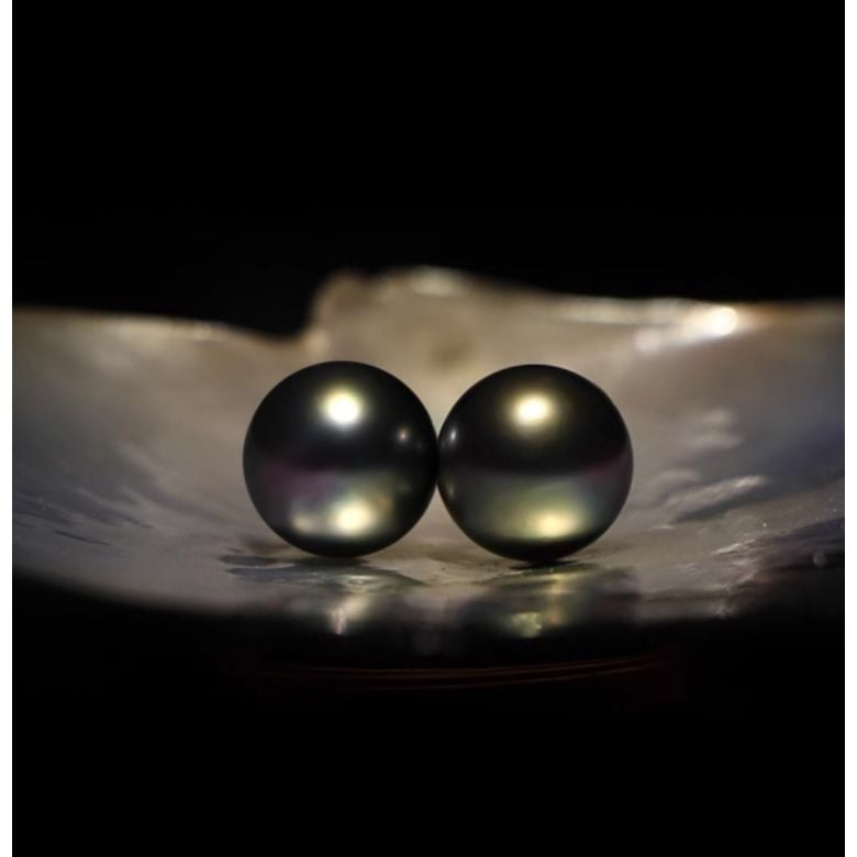 Boucles oreilles clous, or jaune - Perles de Tahiti noires, orient vert - 9/10mm - GEMME - 4