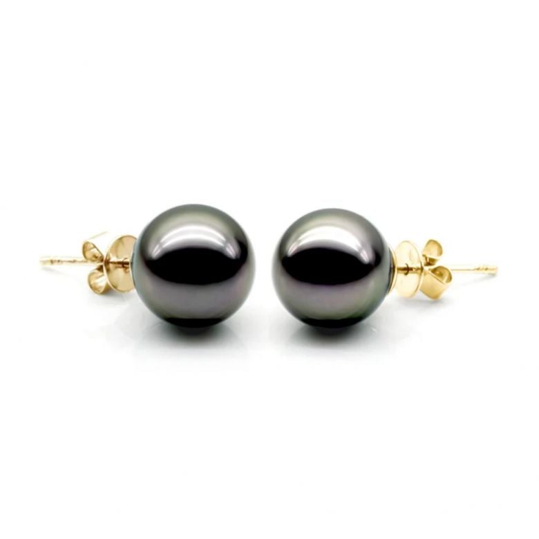 Boucles oreilles clous, or jaune - Perles de Tahiti noires, orient vert - 9/10mm - GEMME - 5