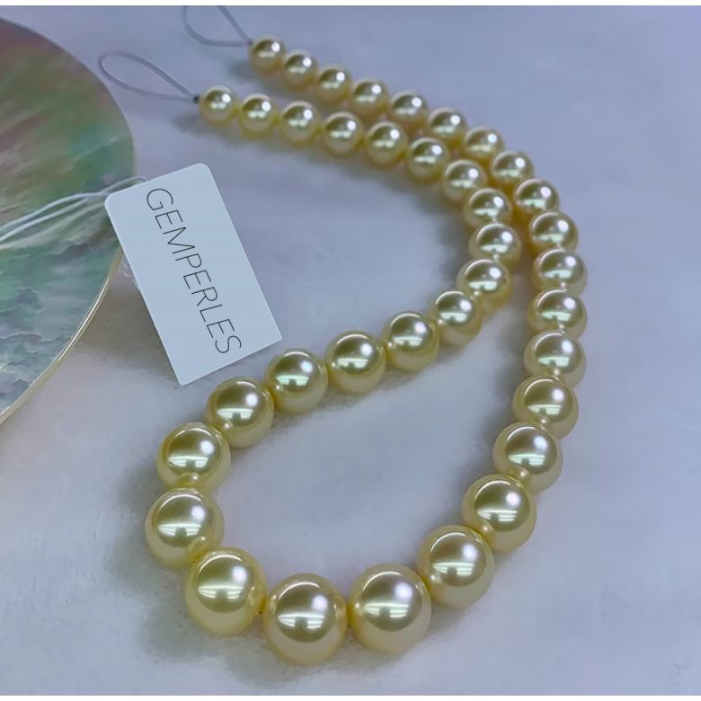 Collier perles d'Australie dorées - 9/11mm - AAA - 5