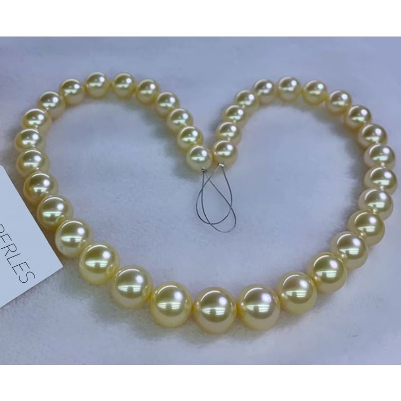 Collier perles d'Australie dorées - 9/11mm - AAA - 6