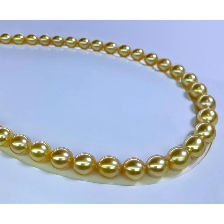 Collier de perles d'Australie Néfertiti - 9/12mm - AA+ or blanc - 2