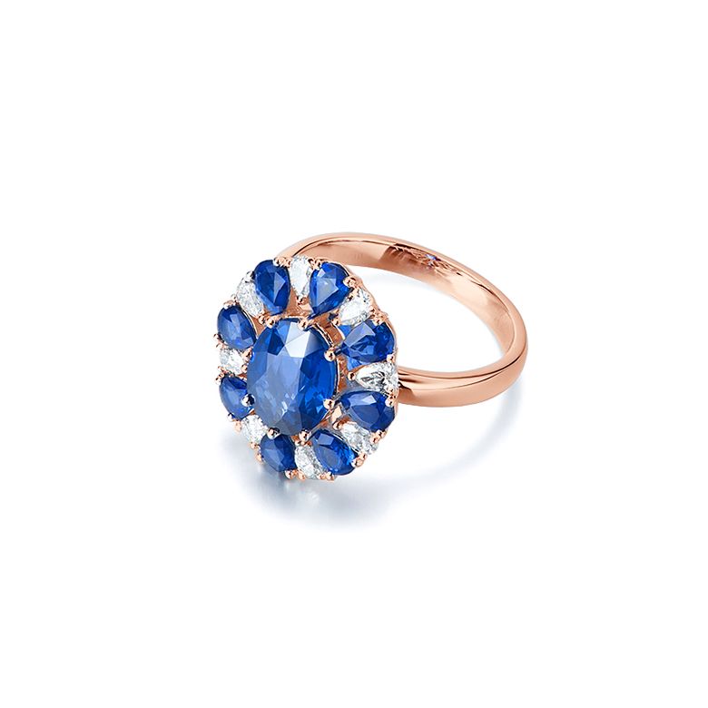 Marguerite du cap or rose - 8