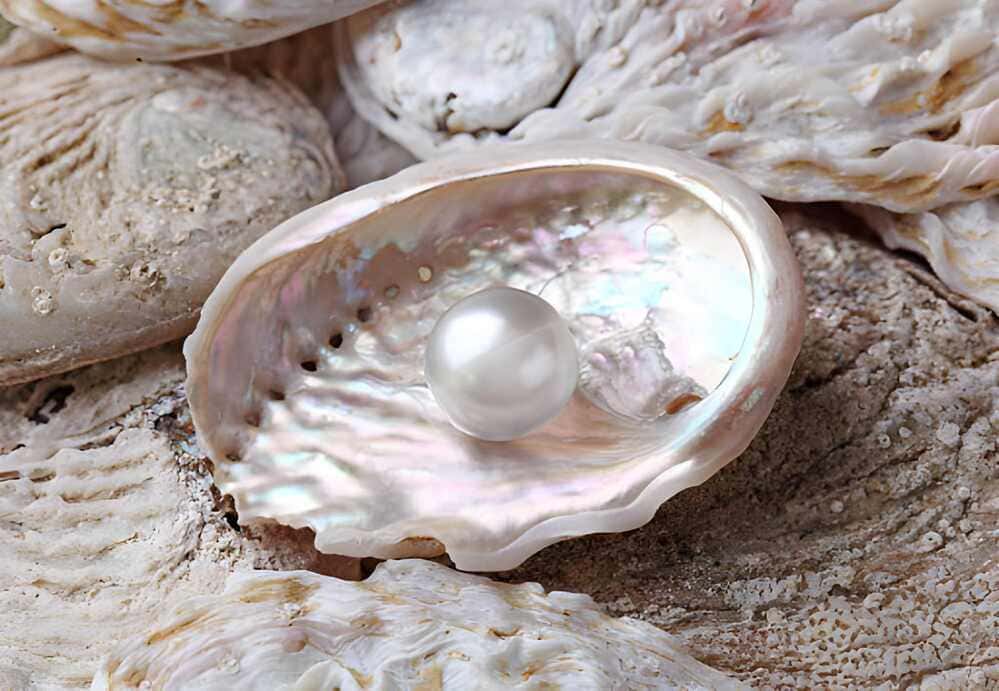 Perles fines