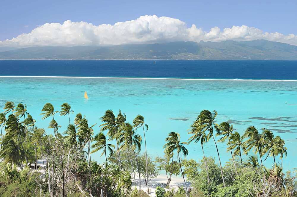 Perle coltivate di Tahiti