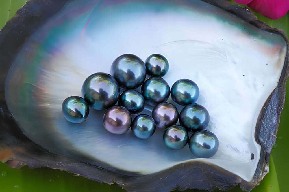 Comment se forme la couleur des perles de Tahiti ?
