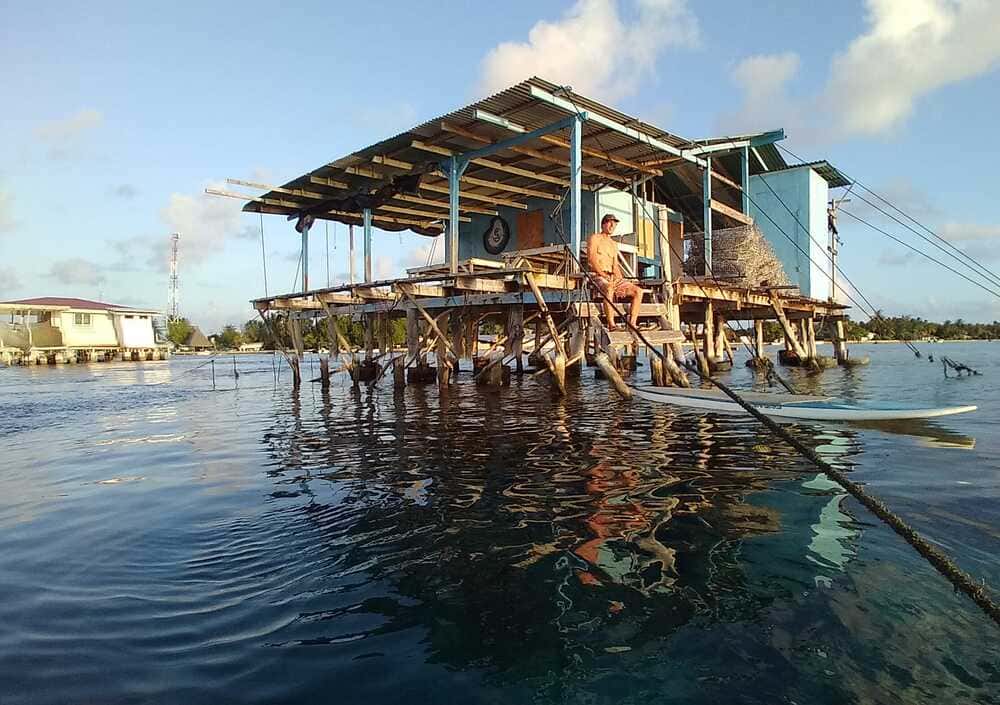 Perles de Tahiti : Alliance des petits producteurs