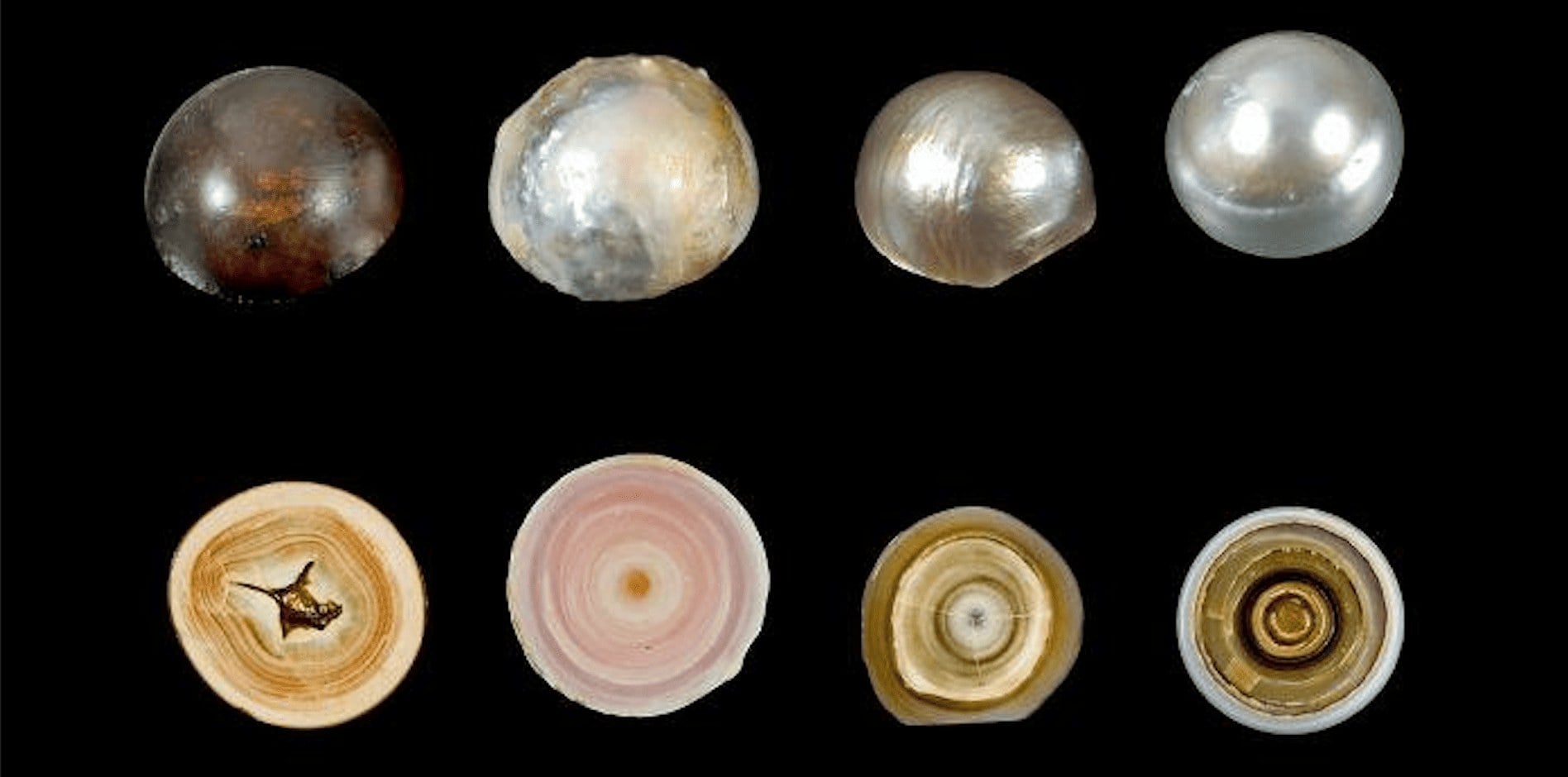 Perles de culture sans noyau