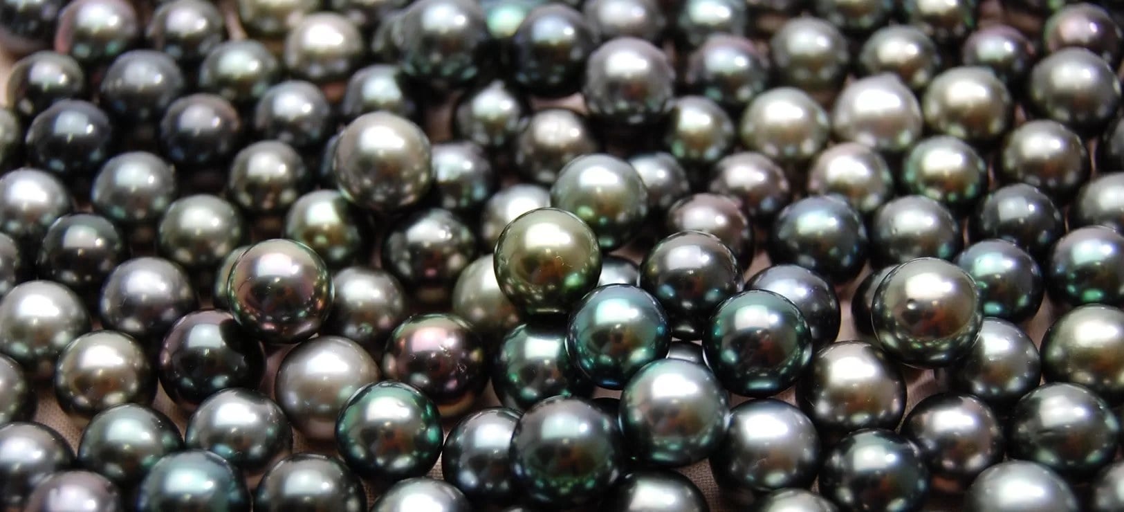 Les perles de Tahiti sont exclusives