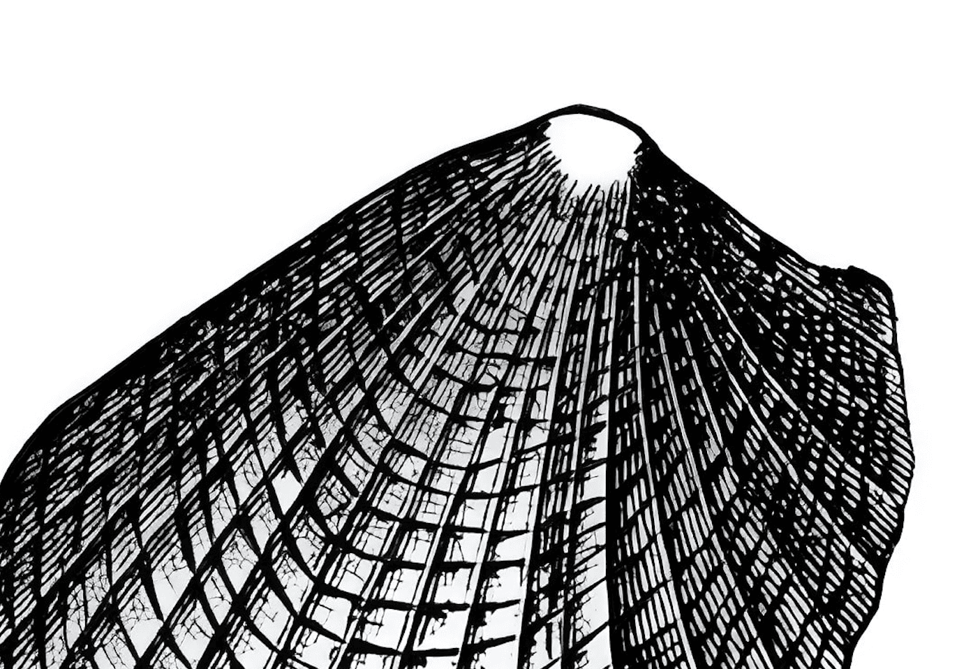 Perles de bivalves — Gemperles