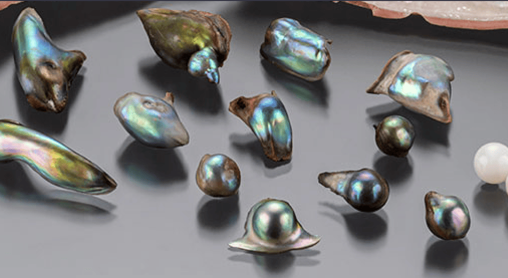 Perles d'ormeau — Gemperles
