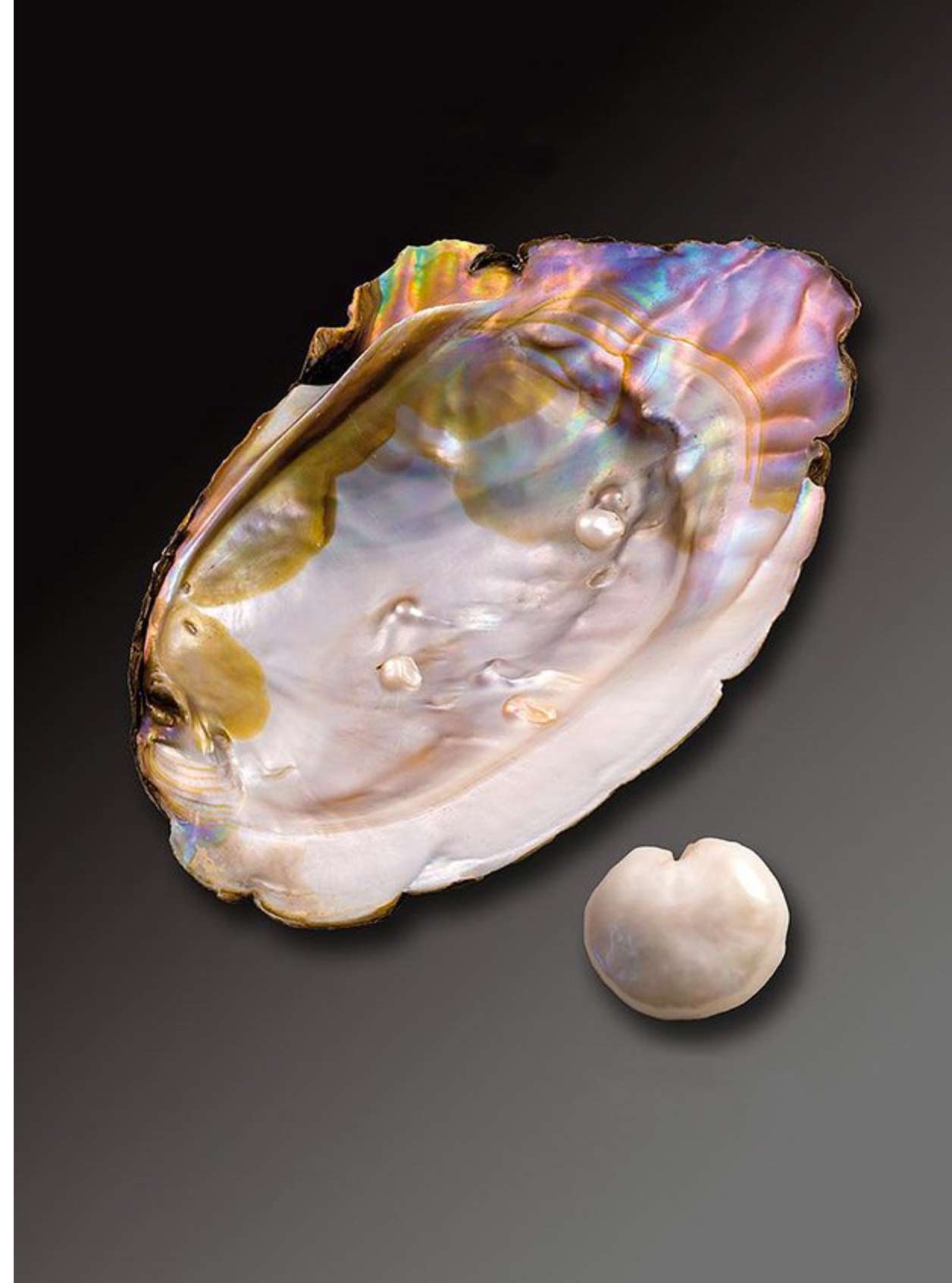 Perles naturelles d'eau douce — Gemperles