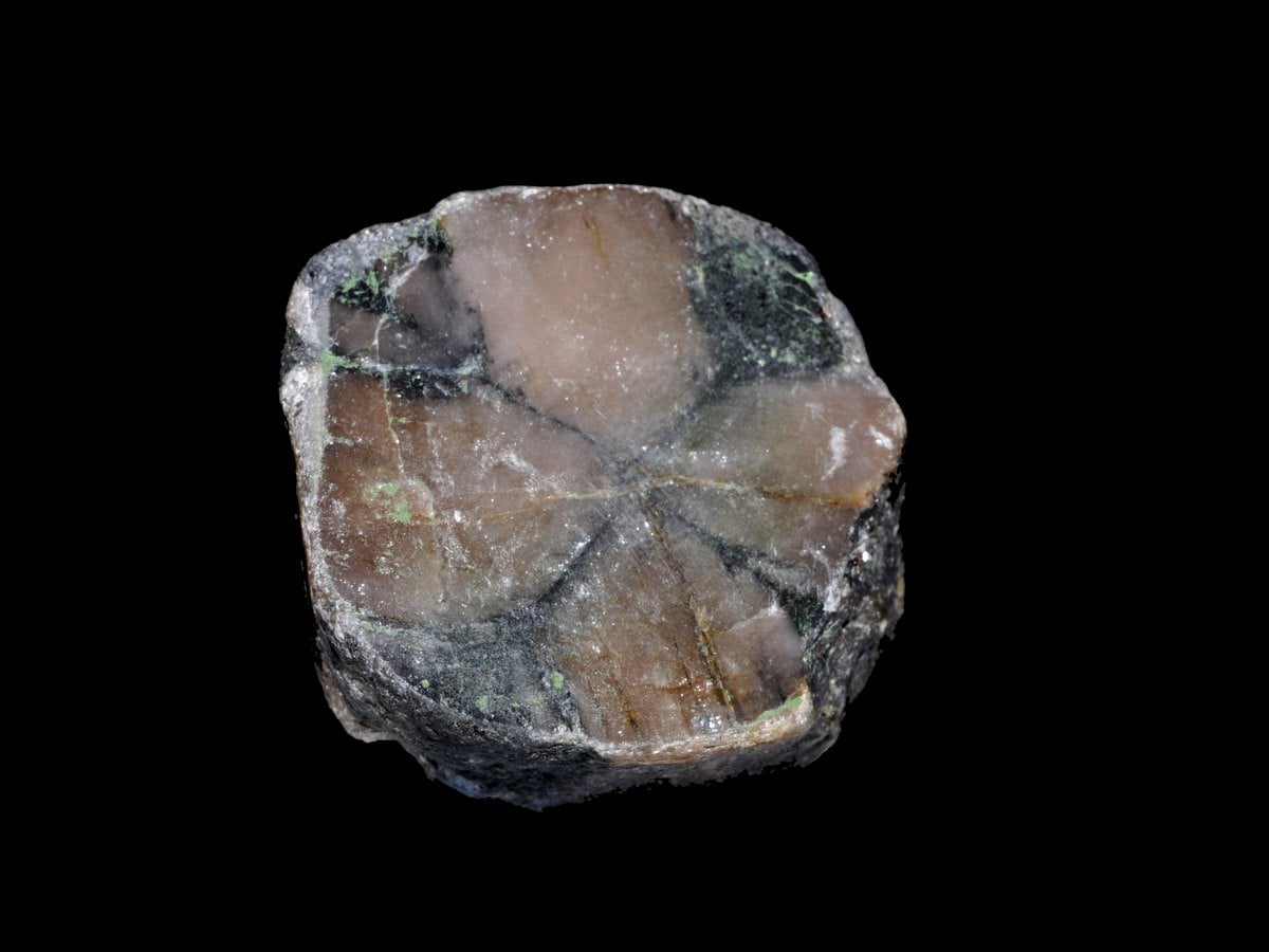 Chiastolite, variété d'andalousite, montrant une croix d'inclusions