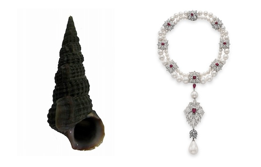 Perles de pinctada mazatlanica — Gemperles