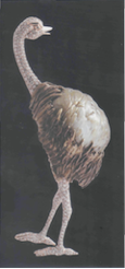 Perles baroques de culture, formes organiques et naturelles