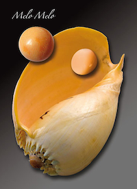 Perles de melo — détail