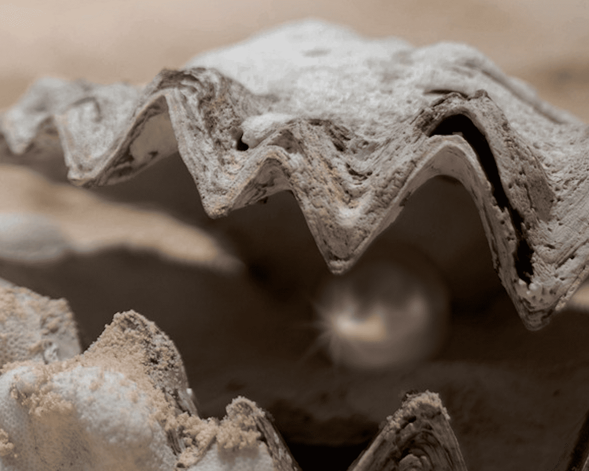 Perles emprisonnées soudées à la coquille &mdash; phénomène rare